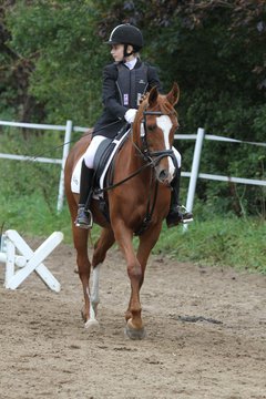 Bild 948 - WBO-Turnier am 18.9.11